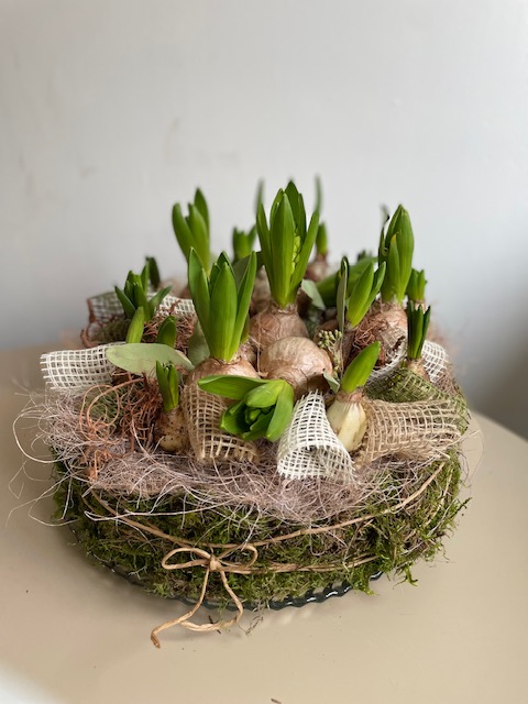 workshop Winterse Bollentaart