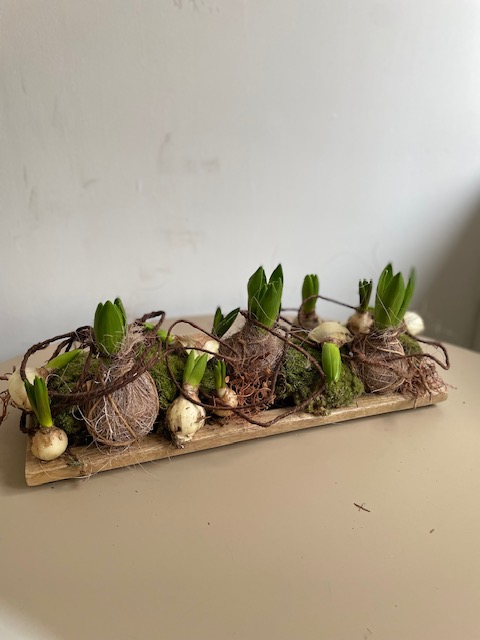 workshop Gezellige Bollenplank